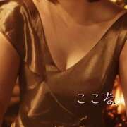 ヒメ日記 2025/01/09 10:48 投稿 ココナ 月兎（GET）