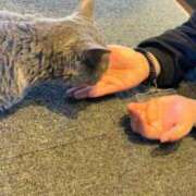 ヒメ日記 2025/02/03 14:48 投稿 かな 厚木人妻城