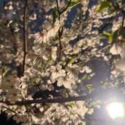 ヒメ日記 2025/04/02 12:03 投稿 かな 厚木人妻城