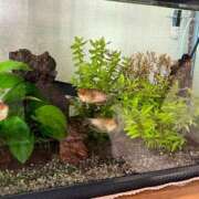 ヒメ日記 2025/04/04 14:32 投稿 花園笑 五十路マダム金沢店