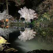 ヒメ日記 2025/04/06 21:32 投稿 花園笑 五十路マダム金沢店