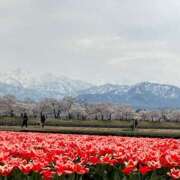 ヒメ日記 2025/04/08 12:44 投稿 花園笑 五十路マダム金沢店