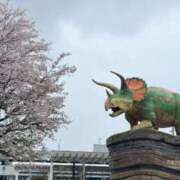 ヒメ日記 2025/04/13 15:56 投稿 花園笑 五十路マダム金沢店