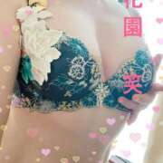 ヒメ日記 2025/04/20 09:56 投稿 花園笑 五十路マダム金沢店