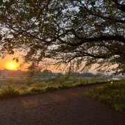 ヒメ日記 2025/04/26 05:36 投稿 花園笑 五十路マダム金沢店