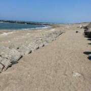 ヒメ日記 2025/04/26 12:34 投稿 花園笑 五十路マダム金沢店