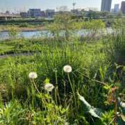 ヒメ日記 2025/05/03 06:50 投稿 花園笑 五十路マダム金沢店