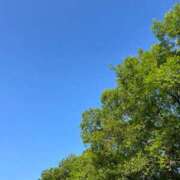 ヒメ日記 2025/06/07 06:40 投稿 花園笑 五十路マダム金沢店