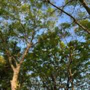 ヒメ日記 2025/06/20 05:56 投稿 花園笑 五十路マダム金沢店