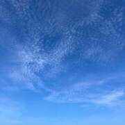 ヒメ日記 2025/08/22 09:18 投稿 花園笑 五十路マダム金沢店