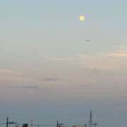 ヒメ日記 2025/09/09 05:34 投稿 花園笑 五十路マダム金沢店