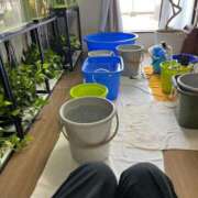 ヒメ日記 2025/09/10 08:34 投稿 花園笑 五十路マダム金沢店