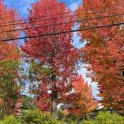 ヒメ日記 2025/11/11 08:28 投稿 花園笑 五十路マダム金沢店