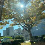 ヒメ日記 2025/11/20 15:28 投稿 花園笑 五十路マダム金沢店