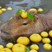 ヒメ日記 2025/12/22 21:42 投稿 花園笑 五十路マダム金沢店