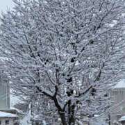 ヒメ日記 2026/01/29 08:16 投稿 花園笑 五十路マダム金沢店