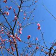 ヒメ日記 2026/02/14 10:00 投稿 花園笑 五十路マダム金沢店