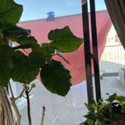 ヒメ日記 2026/02/22 08:36 投稿 花園笑 五十路マダム金沢店