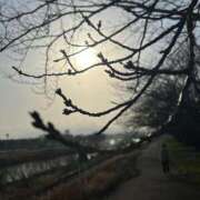 ヒメ日記 2026/03/01 08:02 投稿 花園笑 五十路マダム金沢店