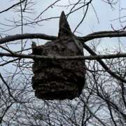 ヒメ日記 2026/03/05 07:36 投稿 花園笑 五十路マダム金沢店