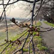 ヒメ日記 2026/03/28 07:26 投稿 花園笑 五十路マダム金沢店