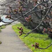 ヒメ日記 2026/03/30 07:52 投稿 花園笑 五十路マダム金沢店