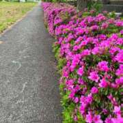 ヒメ日記 2026/04/30 11:26 投稿 花園笑 五十路マダム金沢店