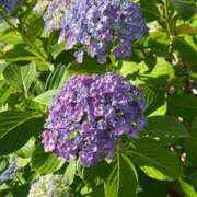 ヒメ日記 2026/06/21 06:38 投稿 花園笑 五十路マダム金沢店