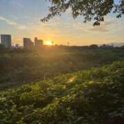 ヒメ日記 2026/08/31 05:58 投稿 花園笑 五十路マダム金沢店