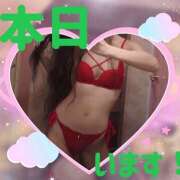 ヒメ日記 2025/03/08 09:32 投稿 かなめ ビジョルナ（bijouluna）