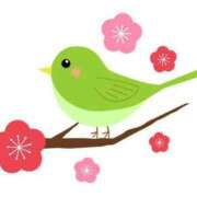 ヒメ日記 2025/03/02 17:02 投稿 りょう タレントCLUB