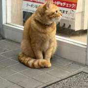 ヒメ日記 2025/11/08 18:36 投稿 りょう タレントCLUB