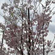 ヒメ日記 2026/03/20 19:45 投稿 りょう タレントCLUB