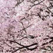 りょう こんにちは タレントCLUB