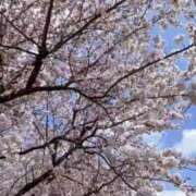 ヒメ日記 2025/04/14 08:21 投稿 あいか 熟女の風俗最終章 宇都宮店