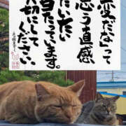 ヒメ日記 2025/06/18 15:27 投稿 あいか 熟女の風俗最終章 宇都宮店