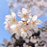 ヒメ日記 2026/04/03 17:21 投稿 あいか 熟女の風俗最終章 宇都宮店