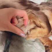 ヒメ日記 2025/11/03 10:03 投稿 つばさ the SPA KADOEBI