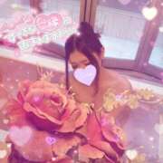 ヒメ日記 2025/01/24 12:27 投稿 薫（かおる） 男爵