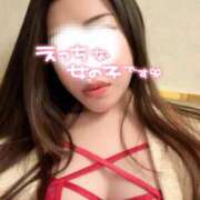 ヒメ日記 2024/12/12 09:18 投稿 うた 石亭