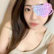 ヒメ日記 2024/12/13 09:21 投稿 うた 石亭