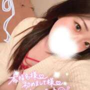 ヒメ日記 2024/12/27 19:17 投稿 うた 石亭