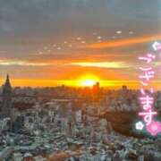 ヒメ日記 2025/01/01 16:52 投稿 うた 石亭