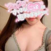 ヒメ日記 2025/01/05 09:39 投稿 うた 石亭