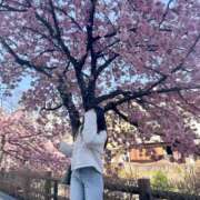 ヒメ日記 2025/03/14 16:29 投稿 うた 石亭