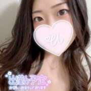 ヒメ日記 2025/03/31 08:02 投稿 うた 石亭