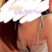 ヒメ日記 2025/04/11 09:15 投稿 うた 石亭