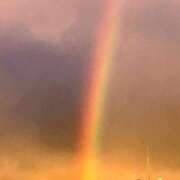 ヒメ日記 2025/04/16 12:25 投稿 うた 石亭