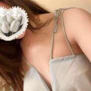 ヒメ日記 2025/04/23 09:12 投稿 うた 石亭