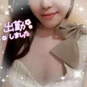 ヒメ日記 2025/04/24 12:11 投稿 うた 石亭